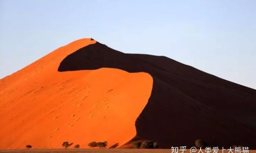脸上怎样可以有酒窝网 - 网站提供怎么才能有酒窝小常识、怎么让脸上有一个酒窝呢女生